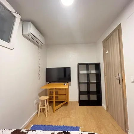 Artistic Student House